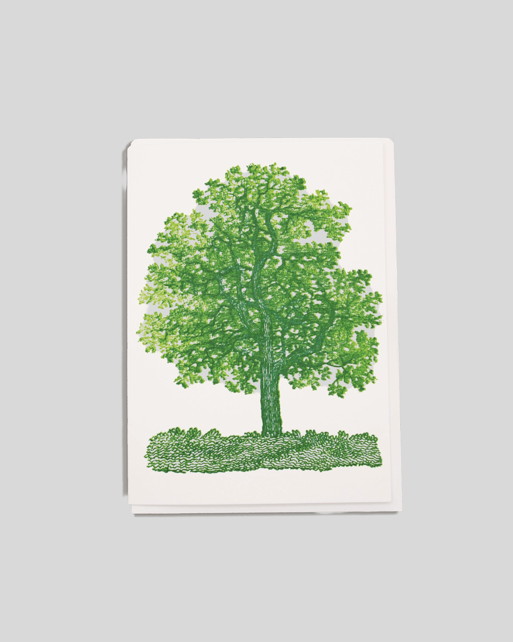 Oak Tree Card