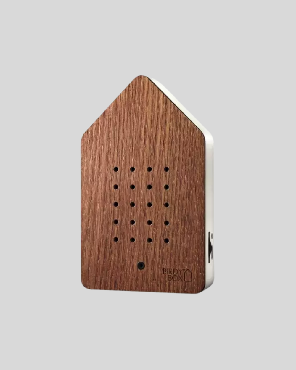 Birdybox Steamed Oak