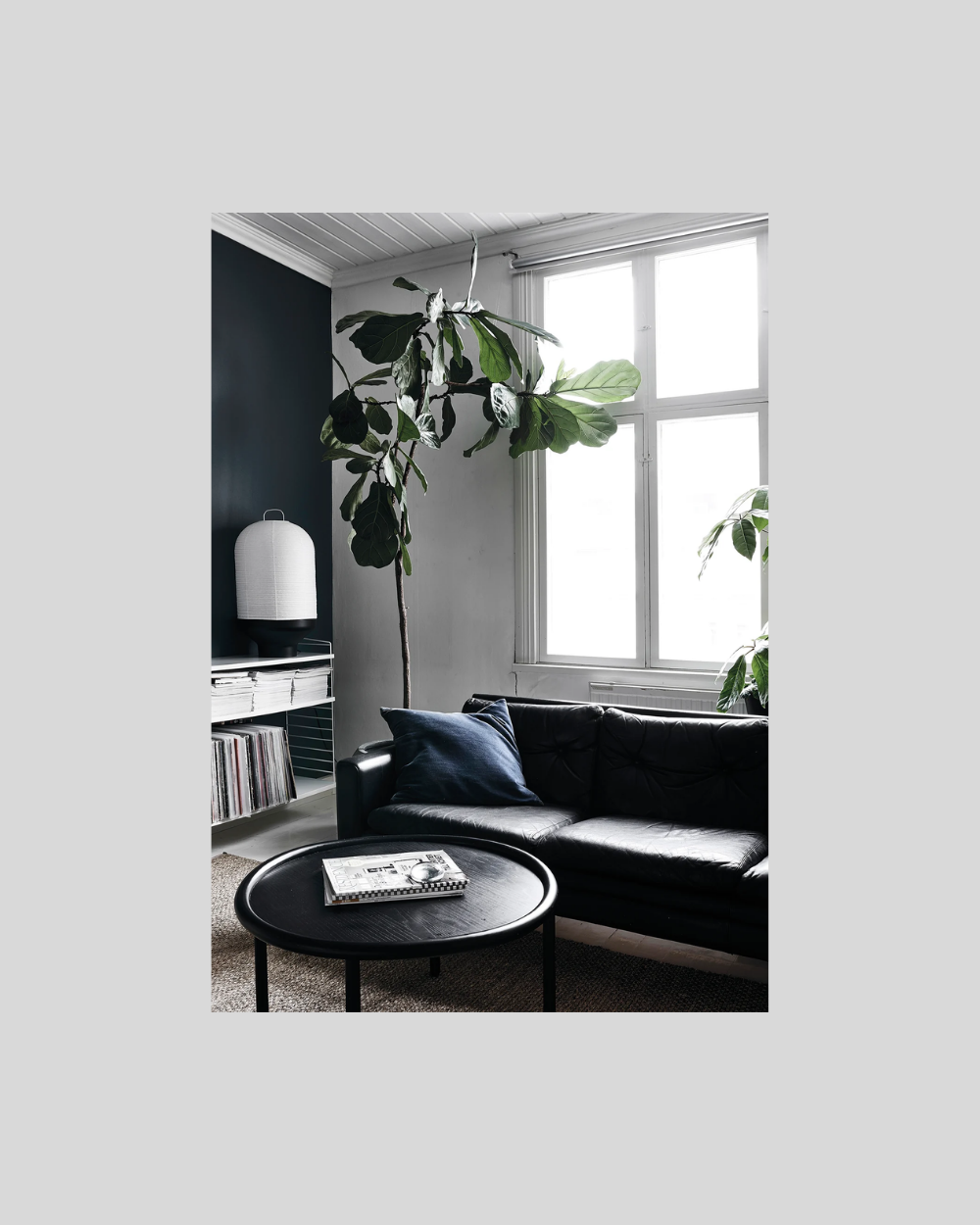 Green Home Book