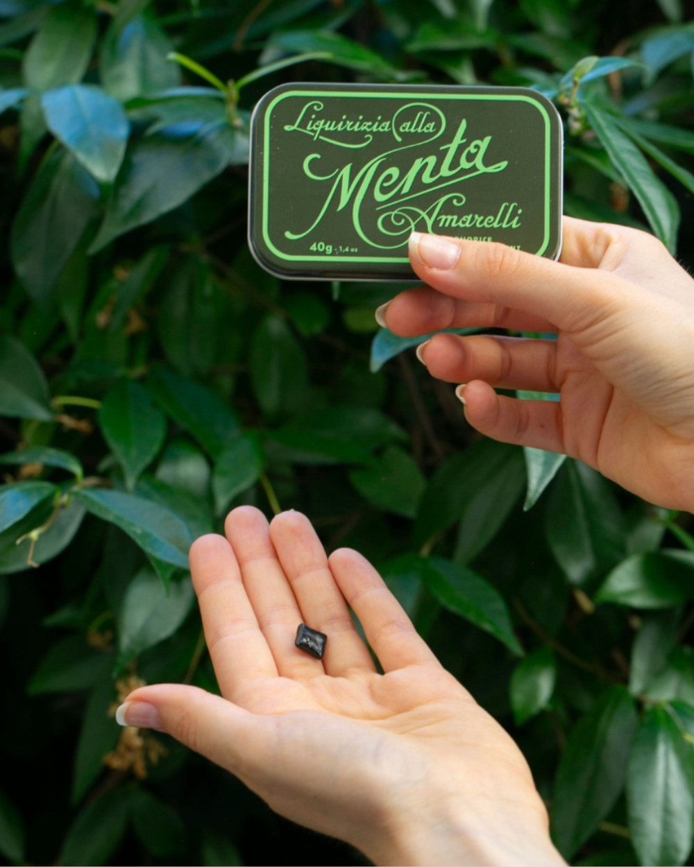 Solid Liquorice Flavoured with Mint