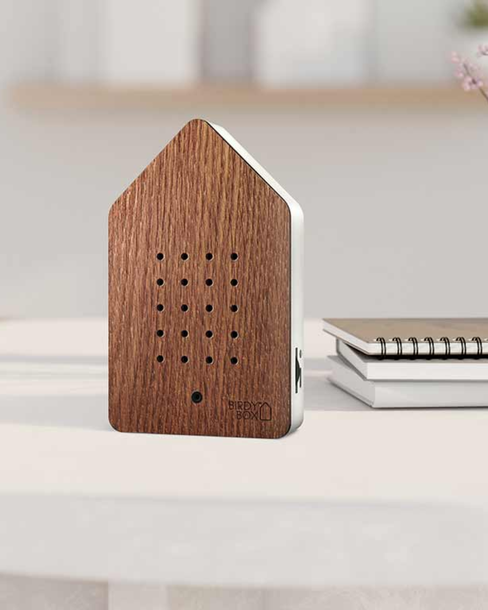 Birdybox Steamed Oak