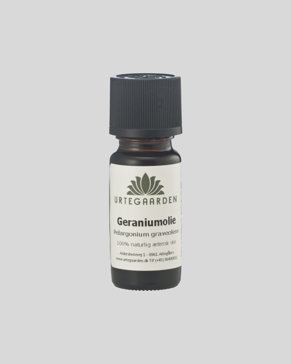 Rose Geranium Fragrance Oil