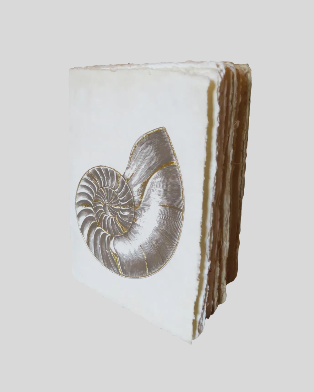 Nautile Parchment Paper Notebook