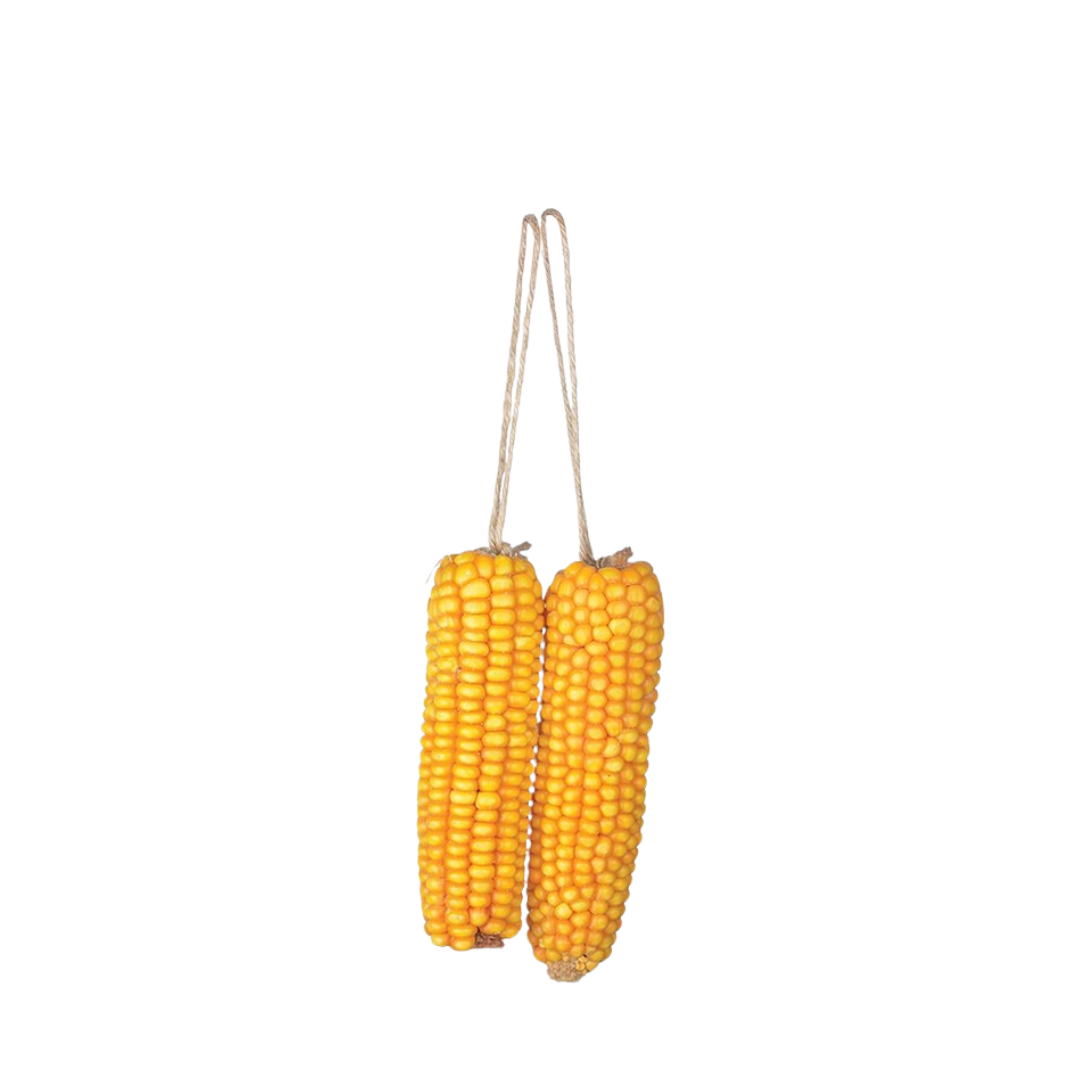 Dried Corn