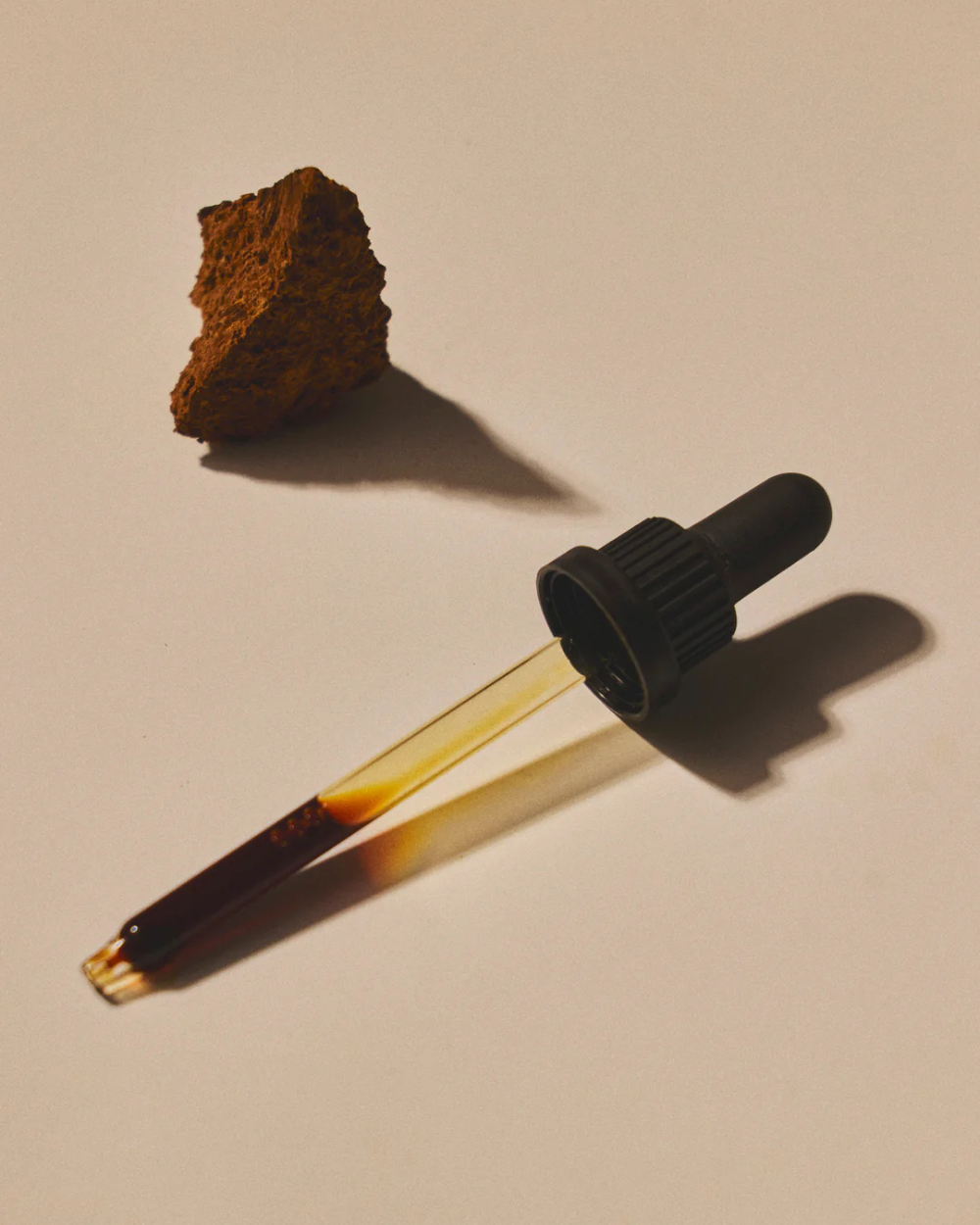 Chaga