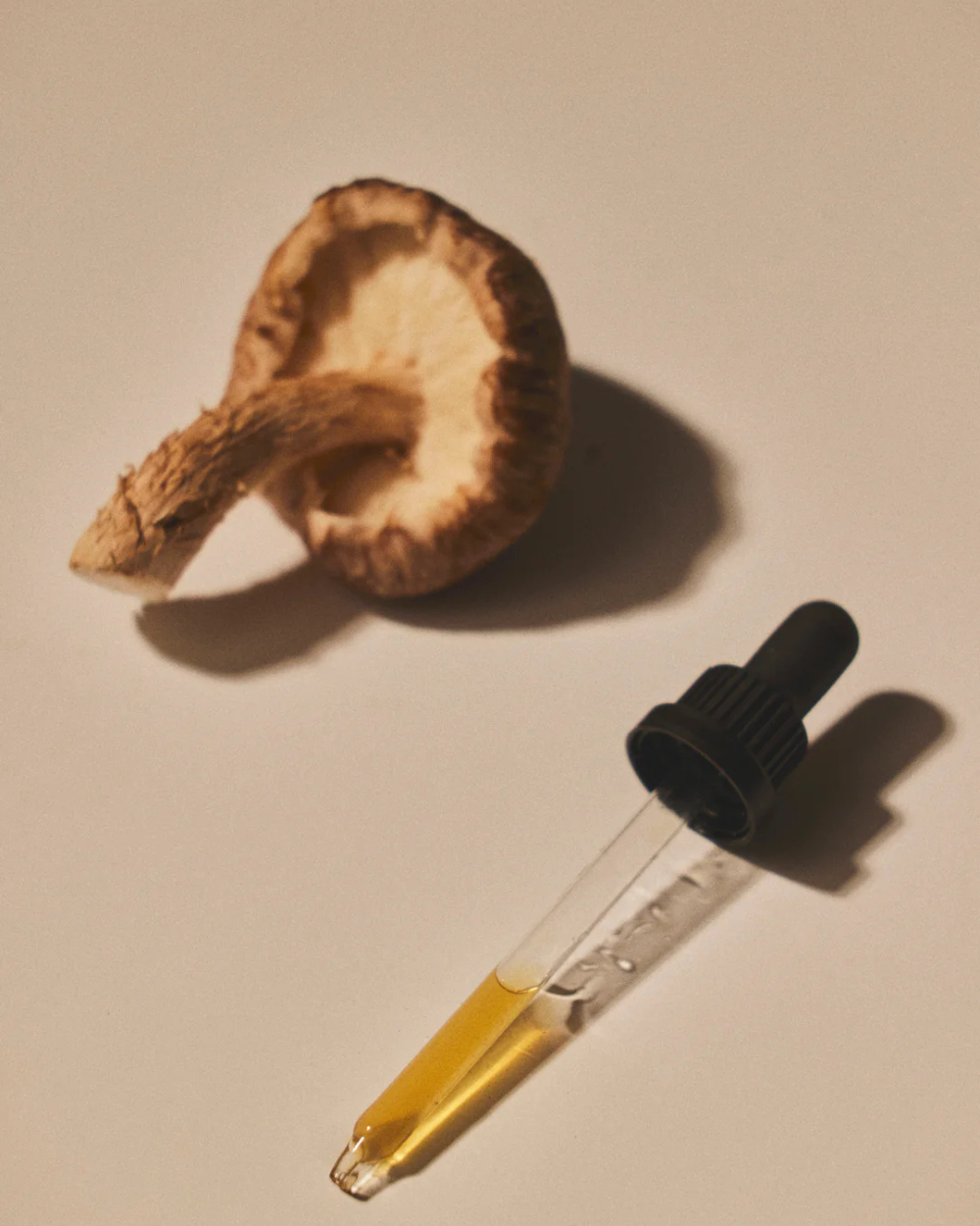 Shiitake