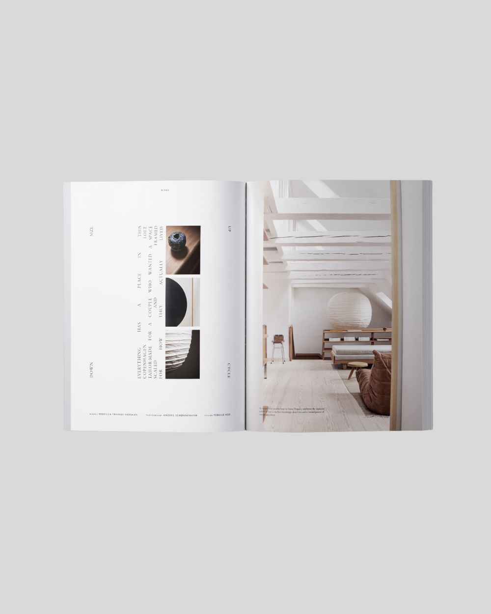 Ark Journal vol. X