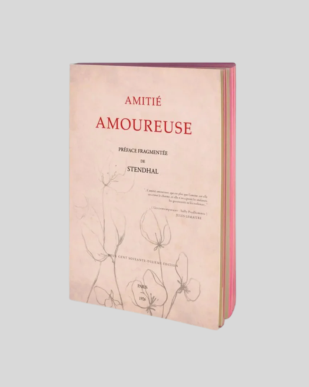 Amitié Amoureuse Notebook