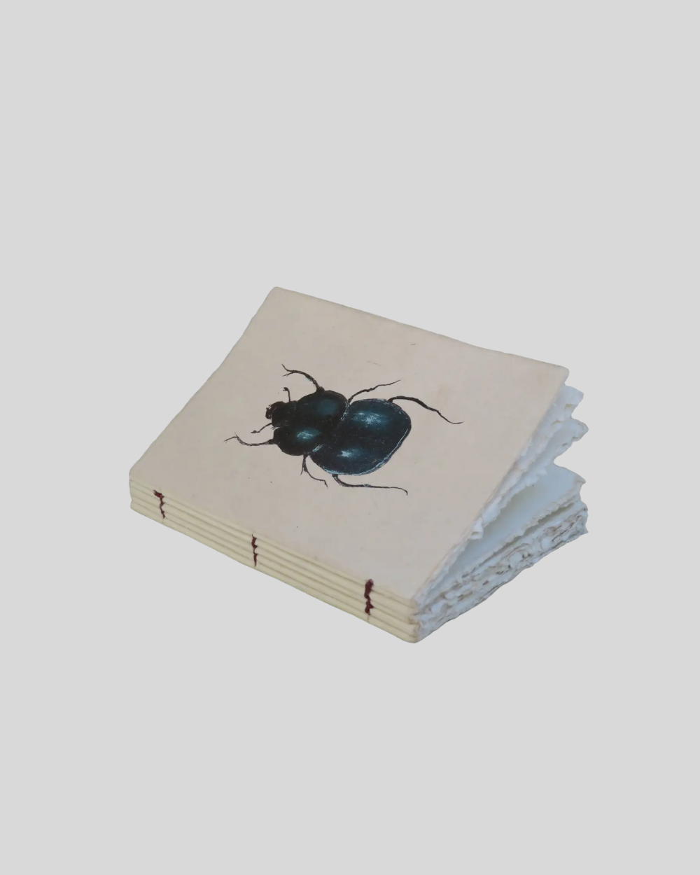 Beetle Engraved Paper Parchment Notebook
