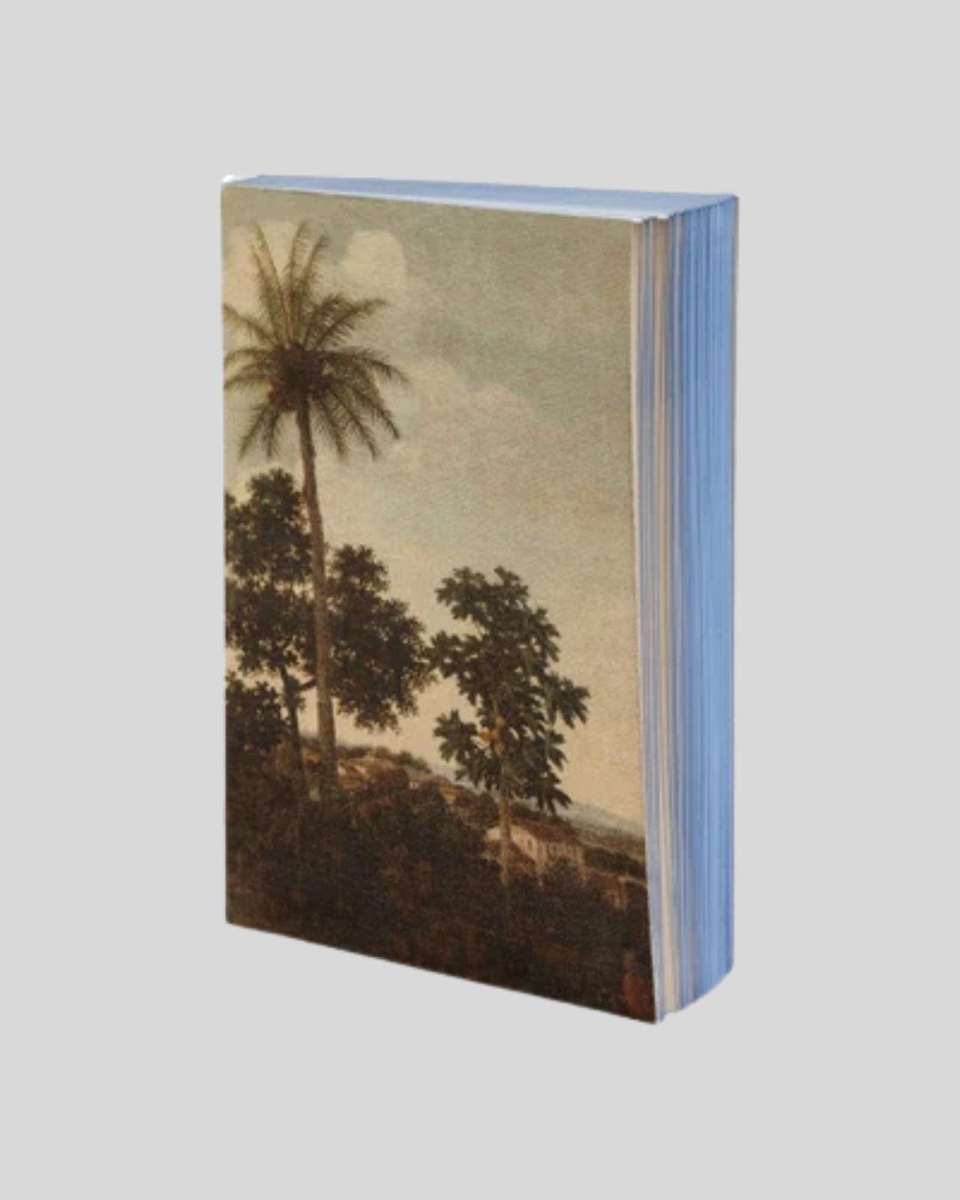 16 Palma Notebook