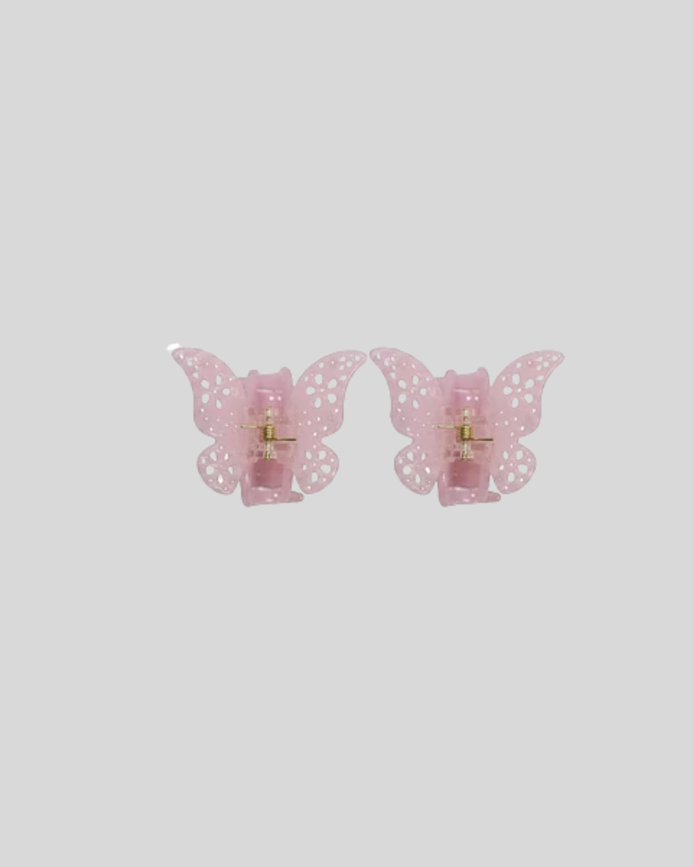 Petit Papillon