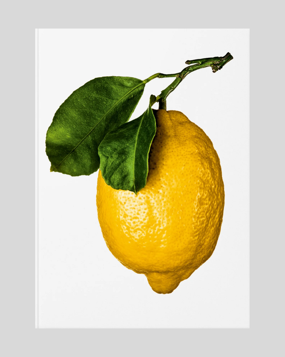 The Gourmand's Lemon. A Collection of Stories and Recipes