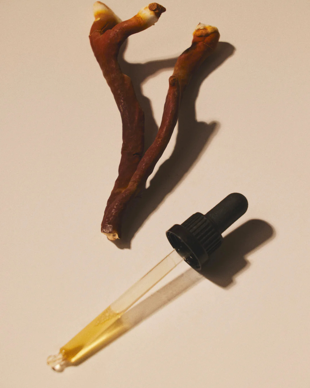 Reishi