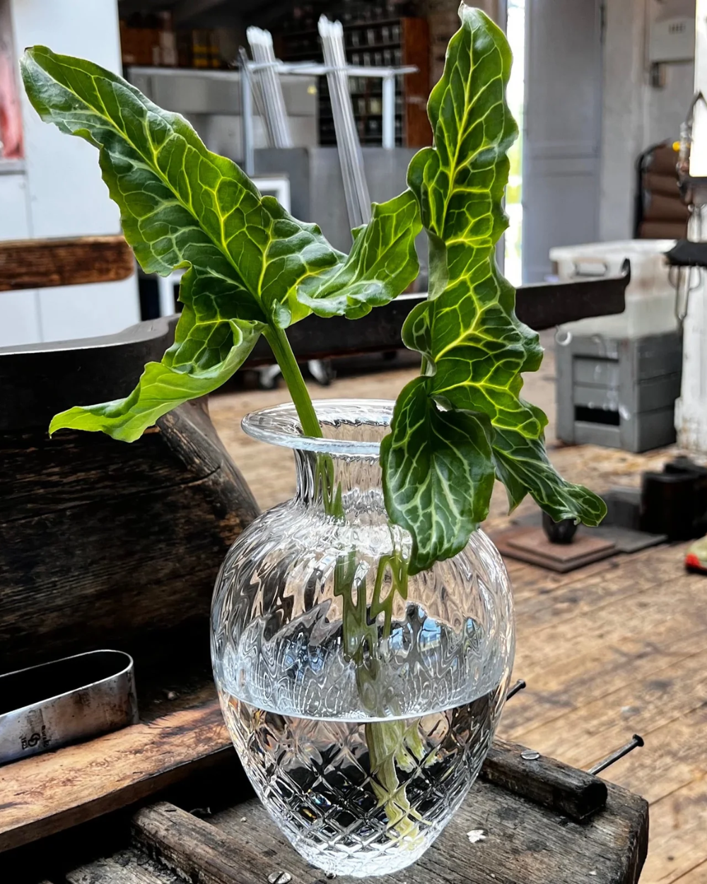 Pineapple Vase