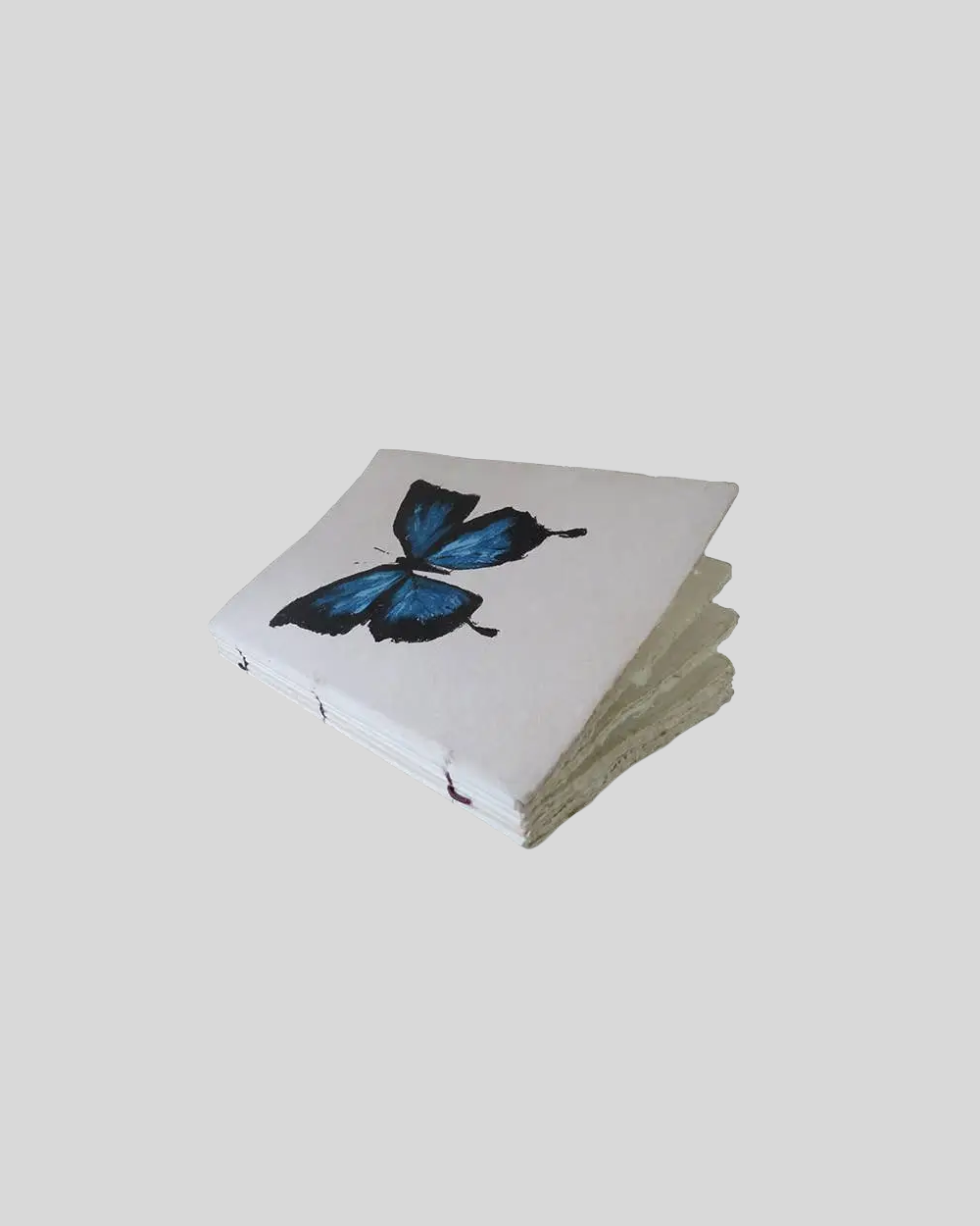 Butterfly Engraved Paper Parchment Notebook