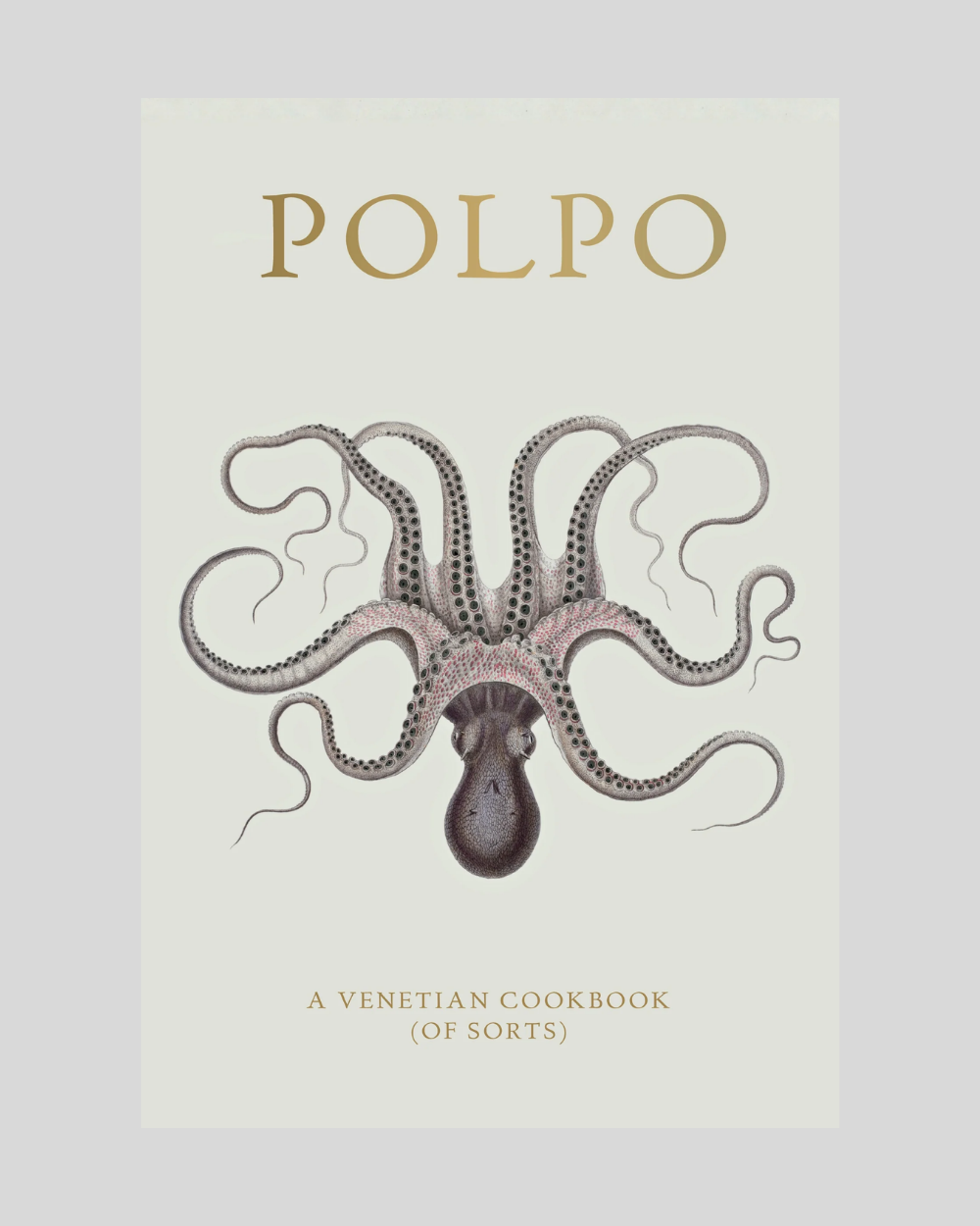 Polpo