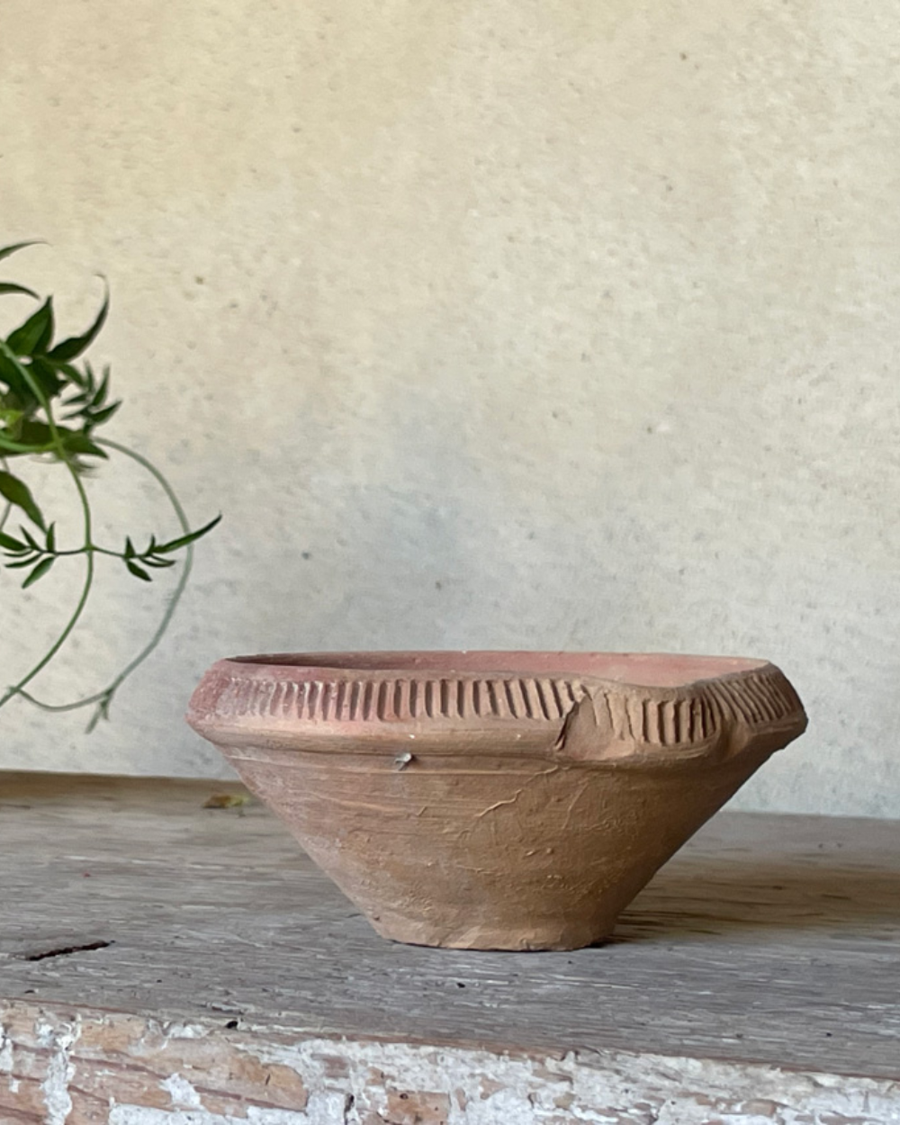Terracotta Bowl