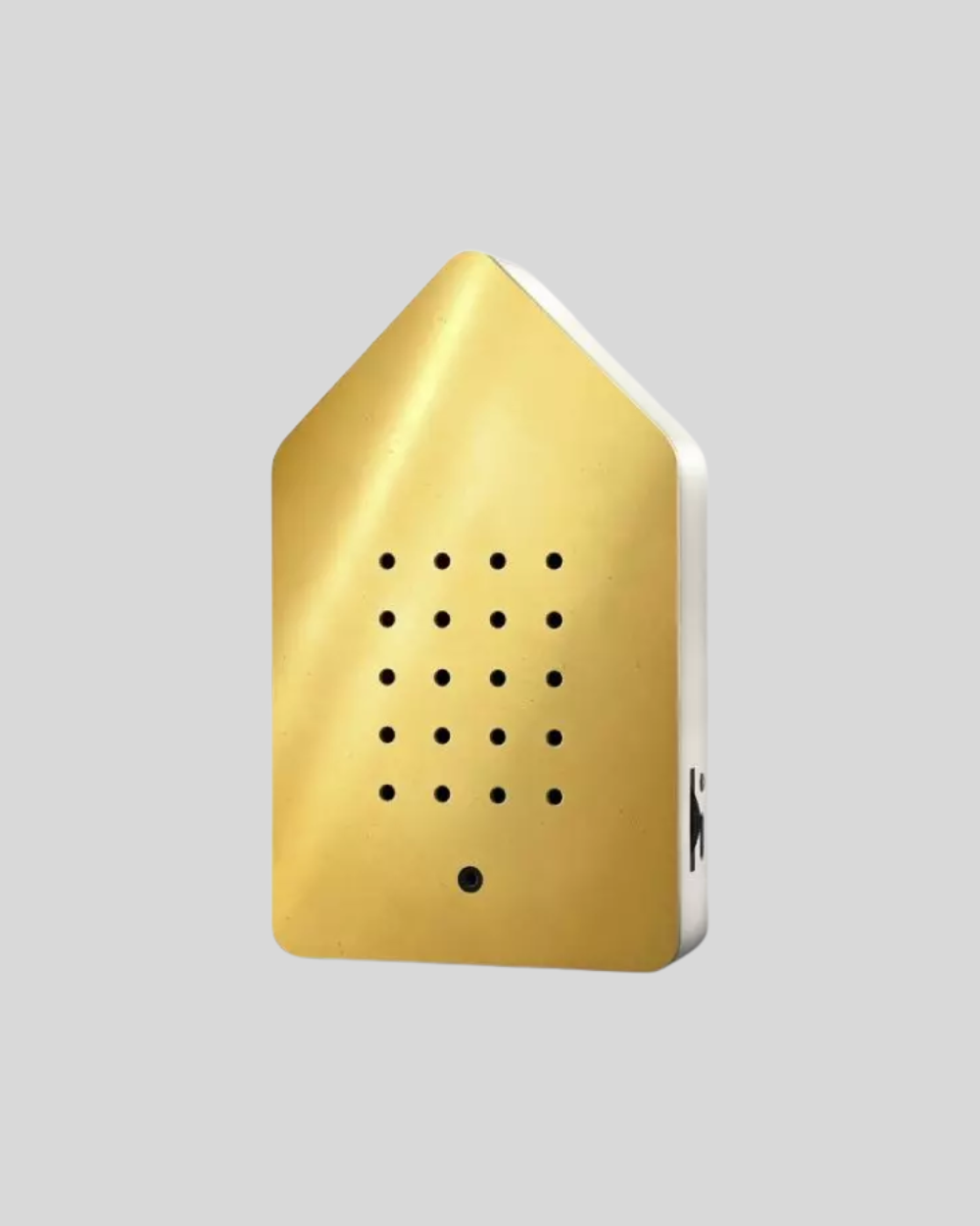 Birdybox Golden Brass