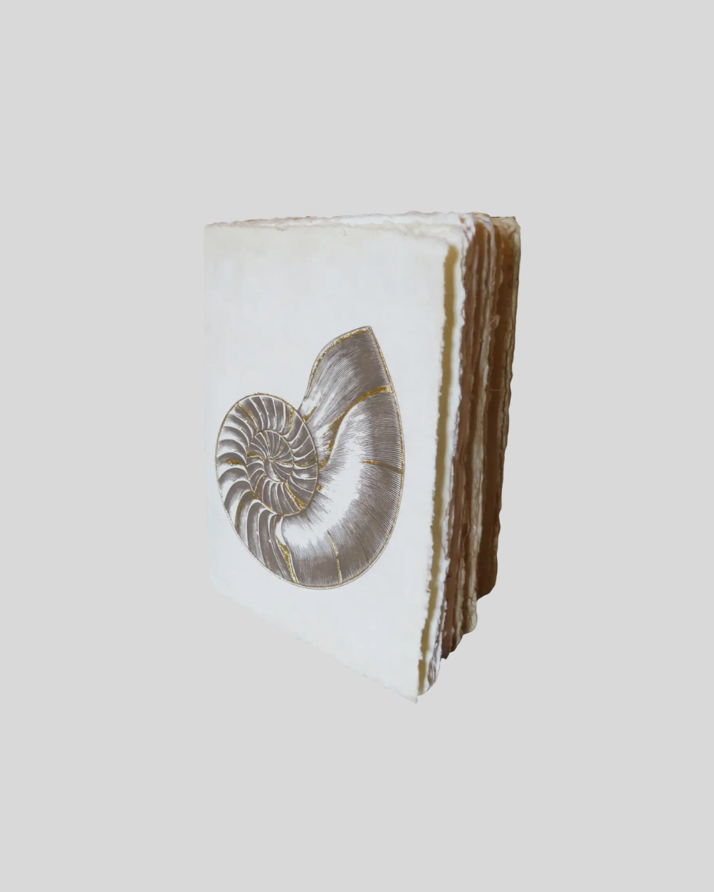 Nautile Parchment Paper Notebook
