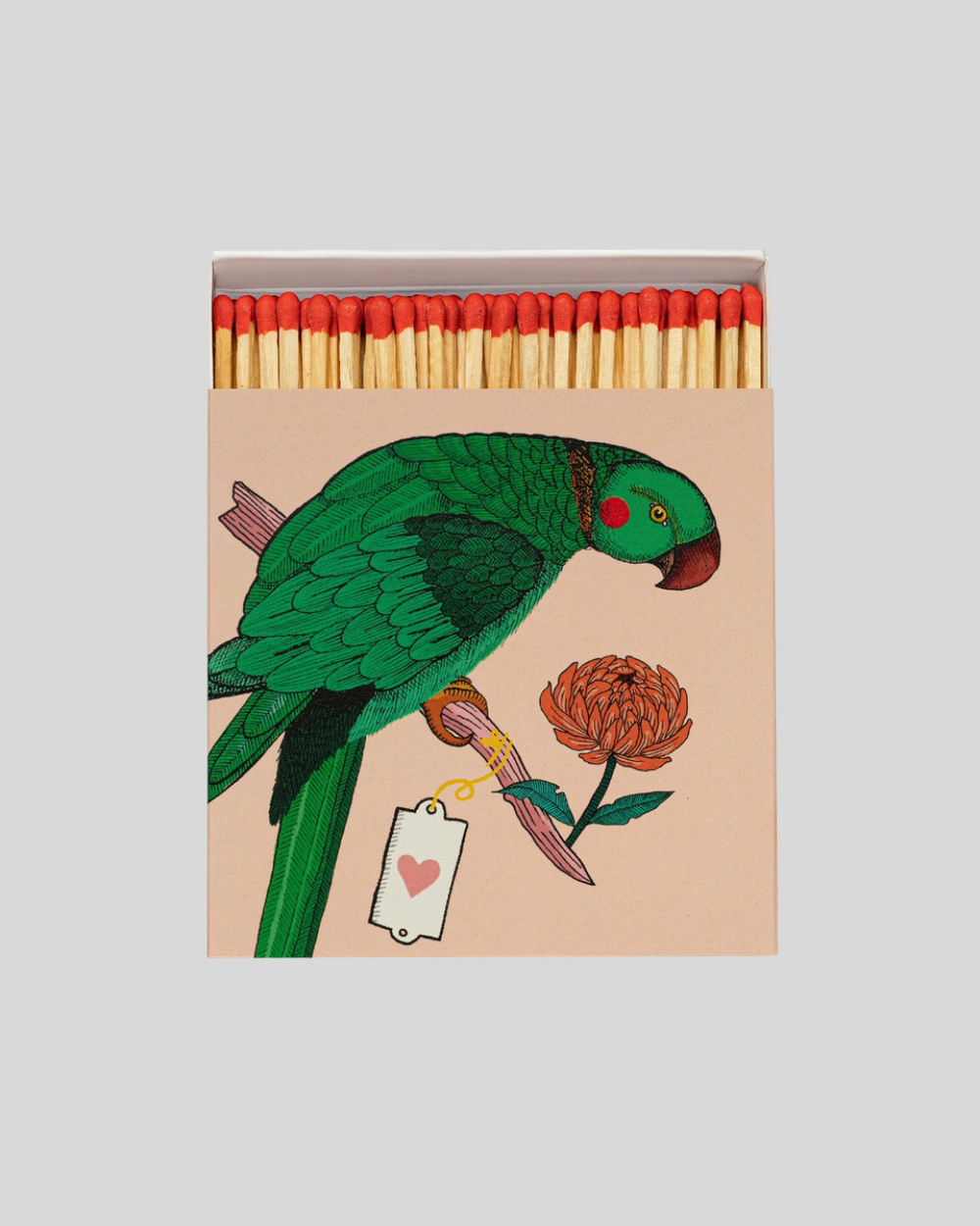 Ariane Parrot Matches