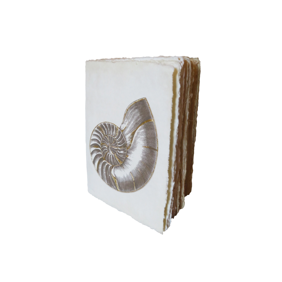 Nautile Parchment Paper Notebook