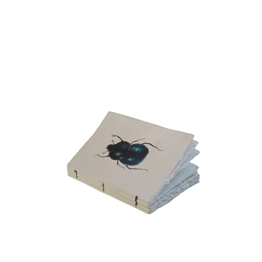 Beetle Engraved Paper Parchment Notebook