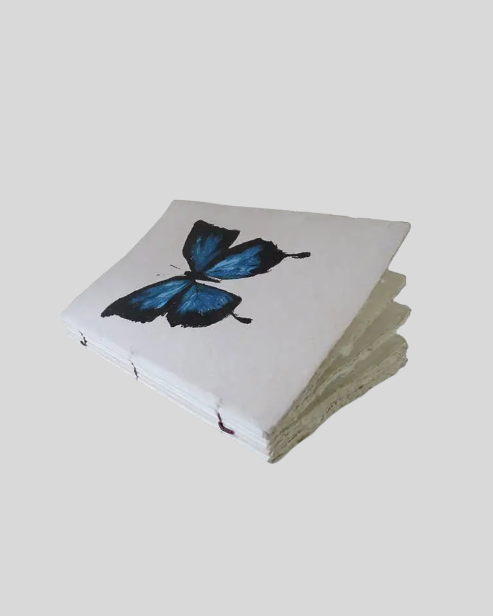 Butterfly Engraved Paper Parchment Notebook