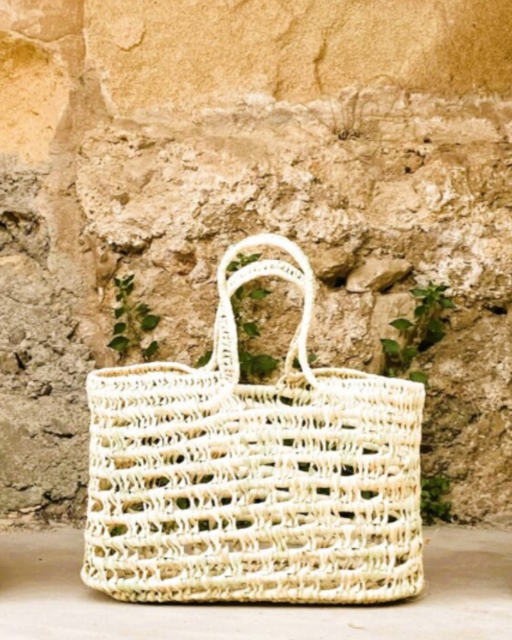 Palm 1531 Beach Bag