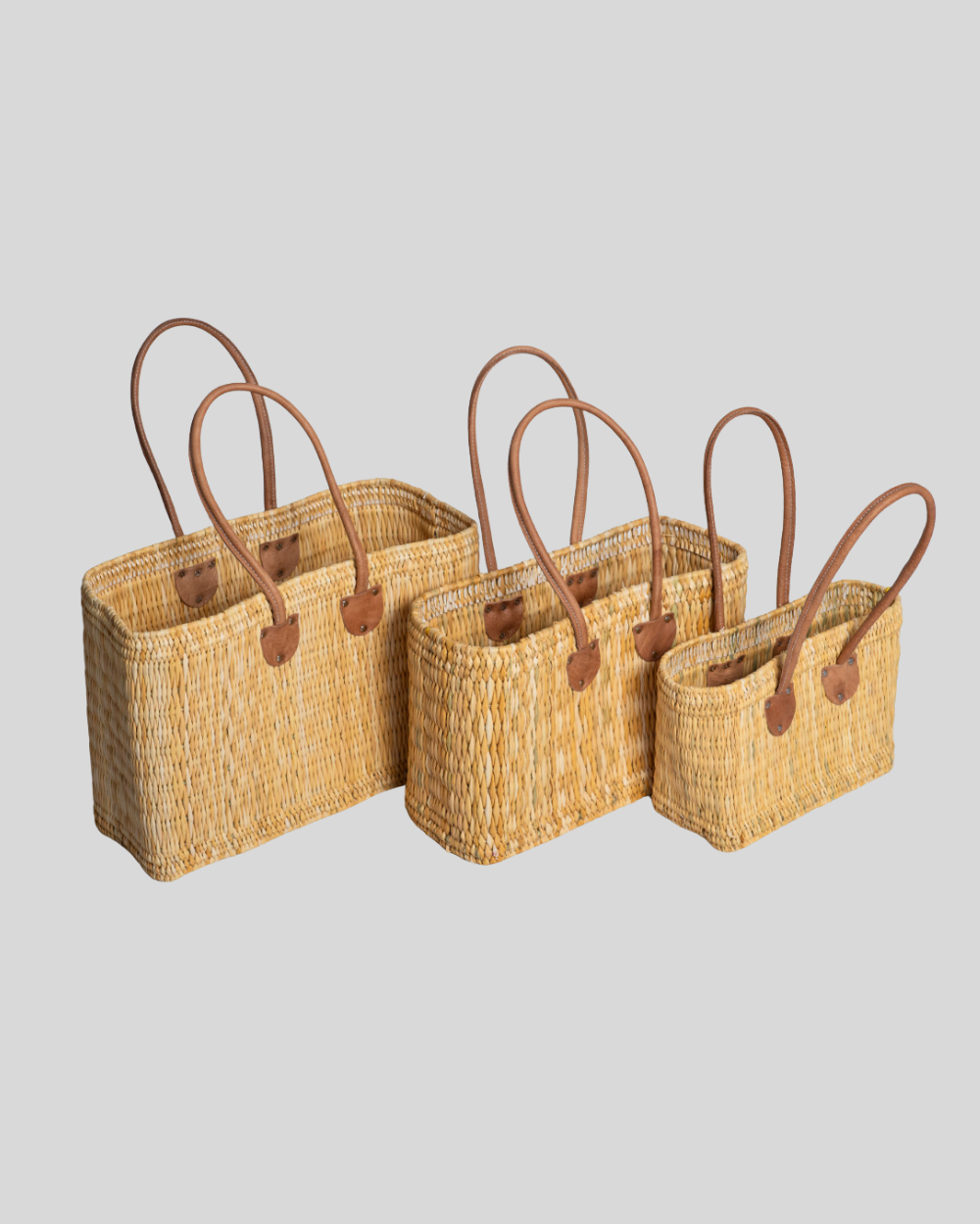 Palm 1063 Beach Bag