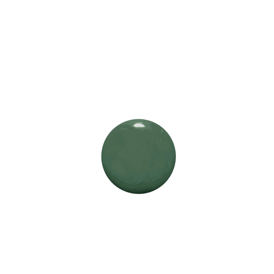 Oxygenated Nail Laquer - Viva La Vegan