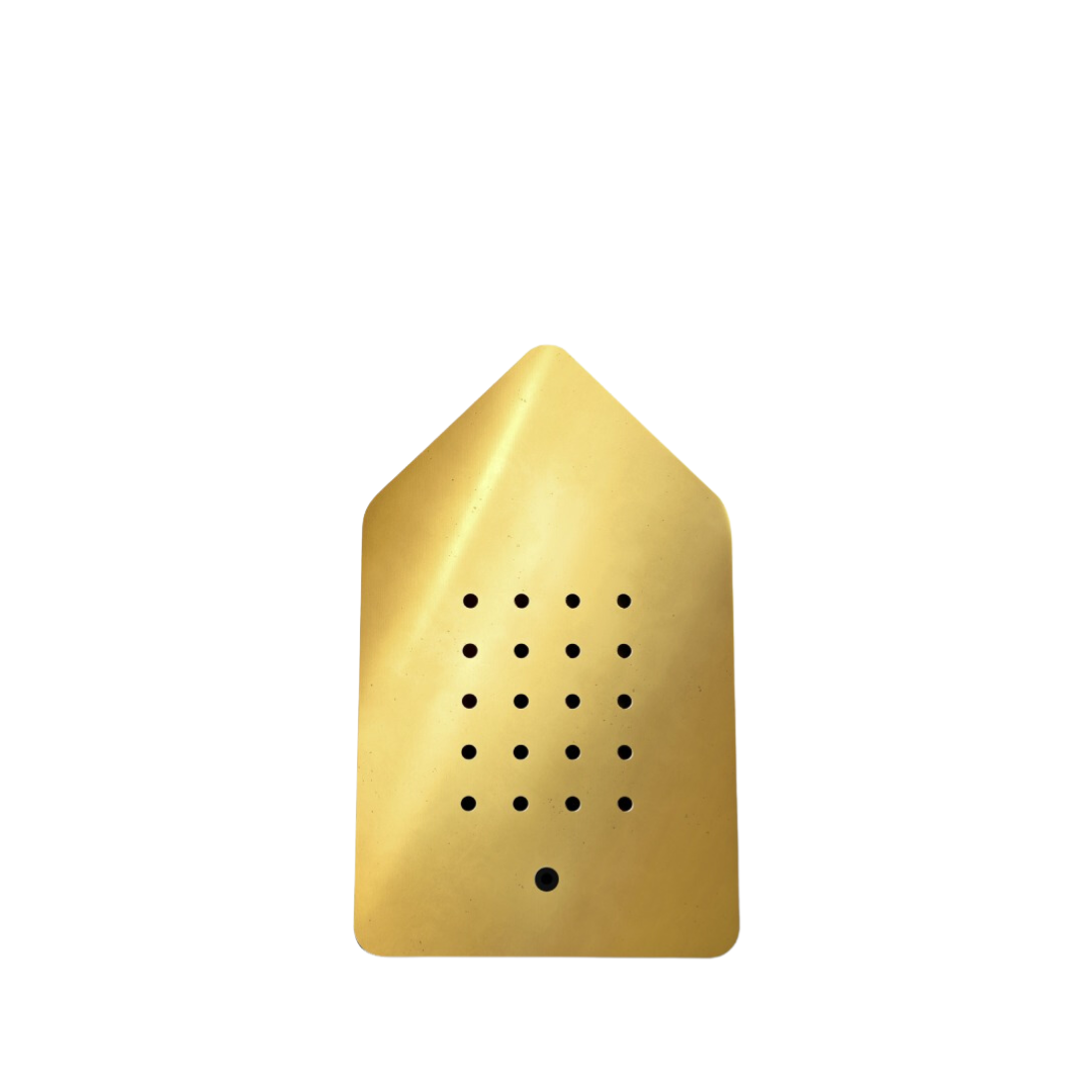 Birdybox Golden Brass
