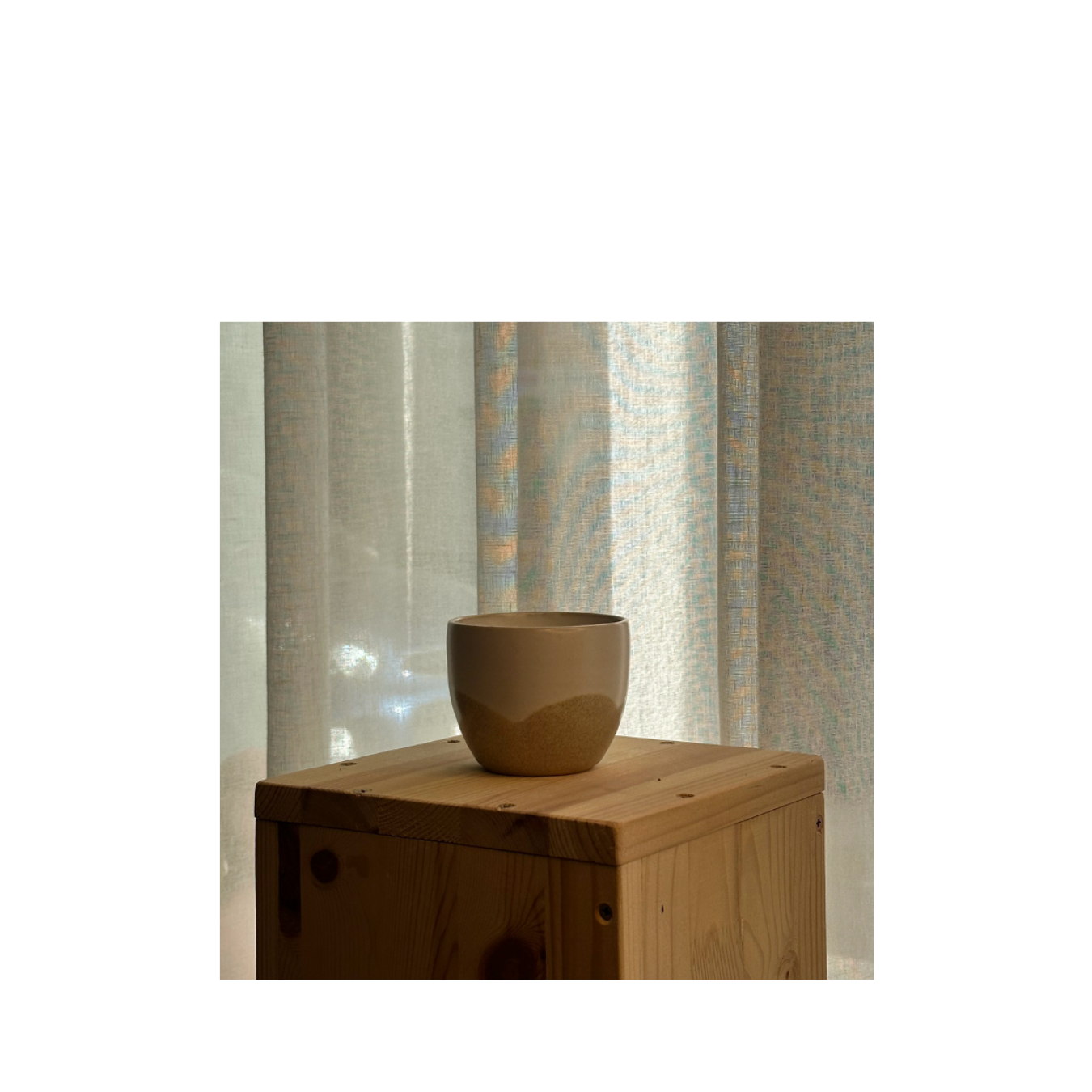 Relia Cup